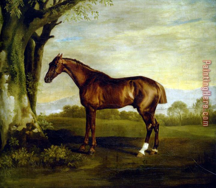 George Stubbs A Chestnut Racehorse